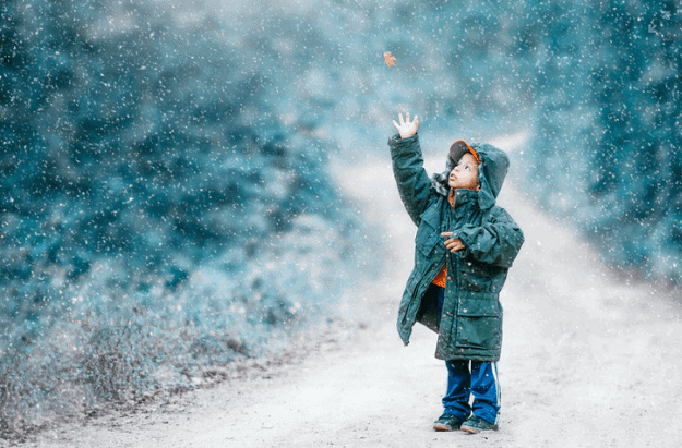 Winter Walks