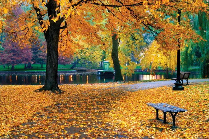 Best Autumnal walks with your family this season