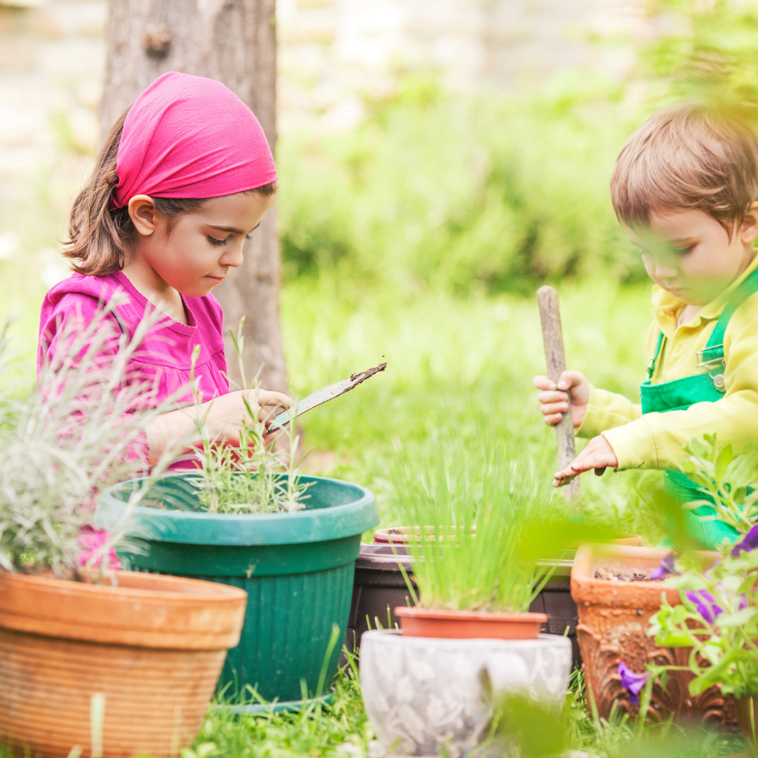 Get gardening this summer! Tips and advice on getting your kids gardening and the many benefits